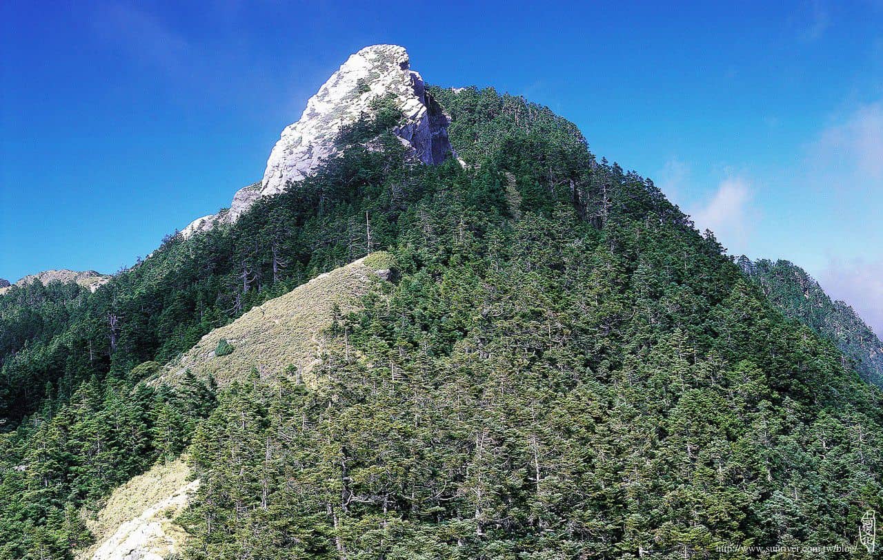 陶塞峰的白色岩塔，聳立在蒼鬱的冷杉林間，形勢相當特出。 攝影∕林軍佐　地點∕南湖大山南峰途中