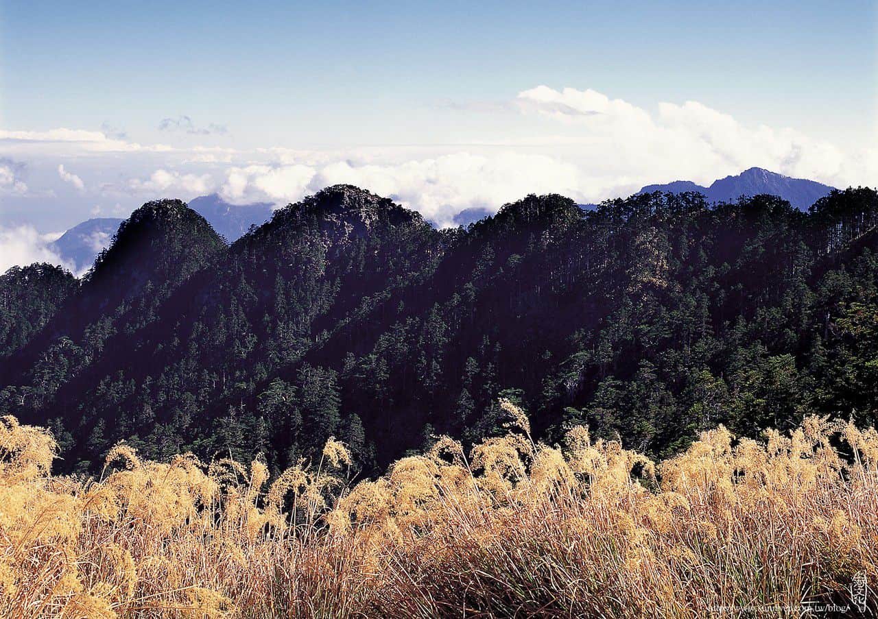 畢祿山東稜的鋸齒連峰 攝影∕多陽　地點∕畢祿山南鞍