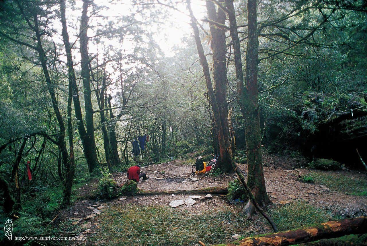 林木森森的十粒溪營地 攝影∕林軍佐　地點∕十粒溪營地 