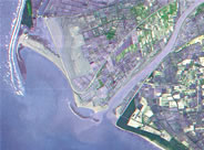 台灣衛星空照影像：曾文溪口，黑面琵鷺棲地