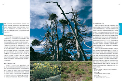 百岳南湖大山篇：天下絕勝的自然美景