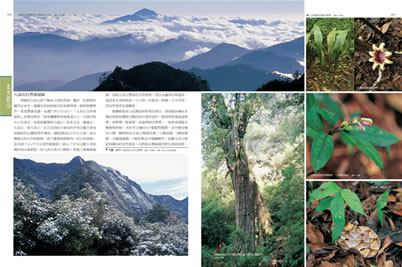 百岳北大武山篇：豐繁多樣的生態秘境